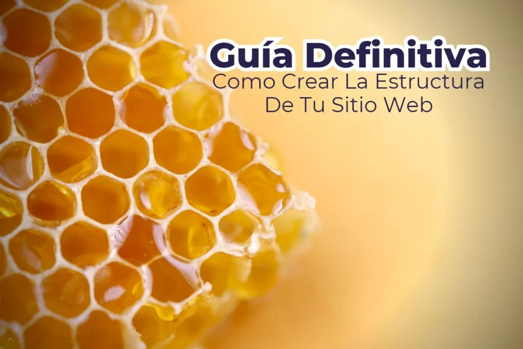 estructura de pagina web